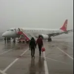 你好，我是一条狗🐶