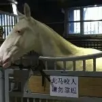 $云端漫步$