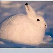 不存在✧