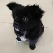 天涯无边u