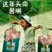天天等馅饼