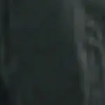 春天在哪里~~