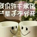 此生无瑜
