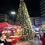 寒星!!