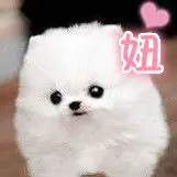 ╰＇十妞