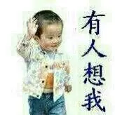 深夜寂寞孤狼