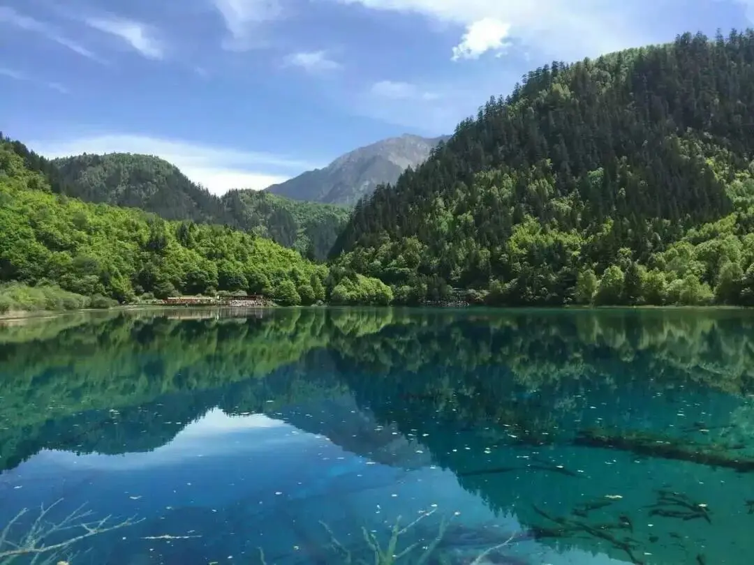 宝宝生病修养中的主播照片