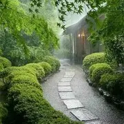 雪山q8