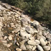 停播后会无期