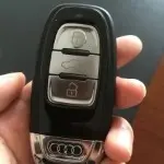 唐宋元明清nh*