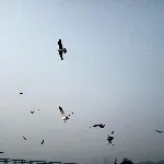 微信_7478463