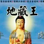 你是我的情哥