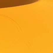 等你的我8