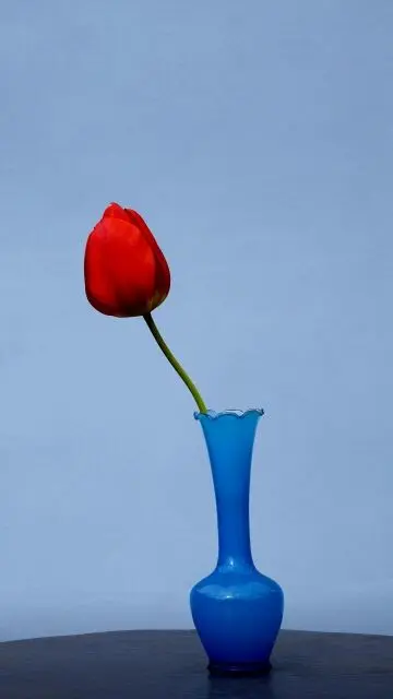 秀心乐的主播照片