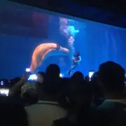 ^(●ﾟ∀ﾟ○