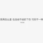 深情共白首
