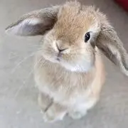 ♬﹎Ｘｎ❤寒宇.