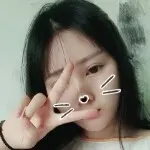 一只会飞的蚂蚁⭐