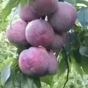 💫訫然💫⛈