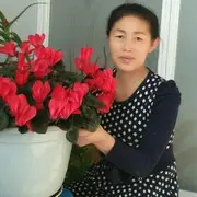 福芹5