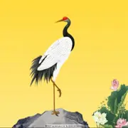 ✨缺一少时💫