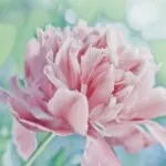 昵称违规，请重新修改