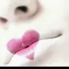 @成功在于$坚持奋斗