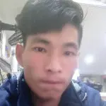 金晨@