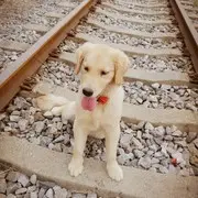 一半啊