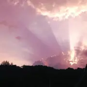 刚好遇见妮