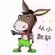 土耳其烤肉饭v