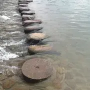 泰然自若f