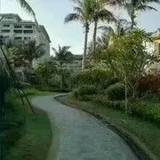 人品如茶