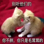 喝个娃哈哈