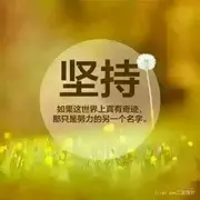 路6g