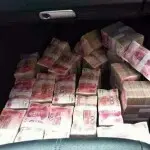 摘菜回家可否