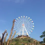 @@没钱了捡豆豆去
