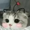 倪b3