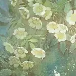 二胖胖-lyk
