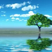 去看海ws