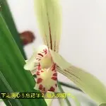温柔到底有多柔
