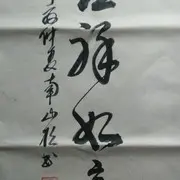 南山松m