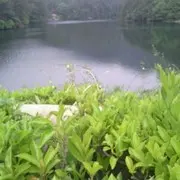 陋室铭@