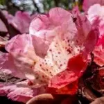 ╲ぃ梦醒时分♪♪