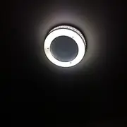 大森林的我