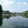 千里马6*