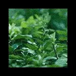 @茫茫人生