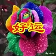荣b7