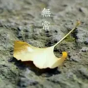 丫丫儿q