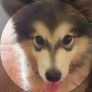 六念妖宝